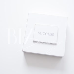 Ambitious Collection Image 6
