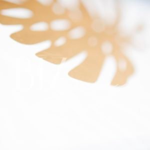 Ambitious Collection Image 58